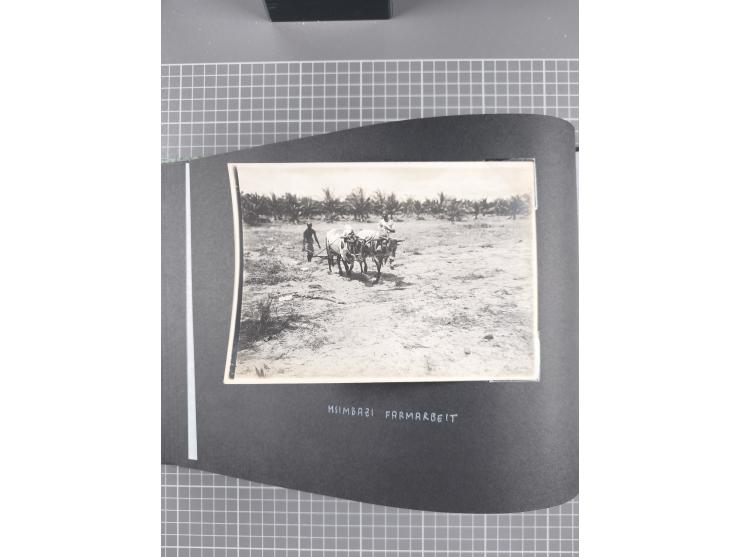 1887/1920, drei Fotoalben der Kaufmann-Familie Paul Devers aus DOA mit etlichen Original-Fotos und vielen Kopien, dabei u.a. 