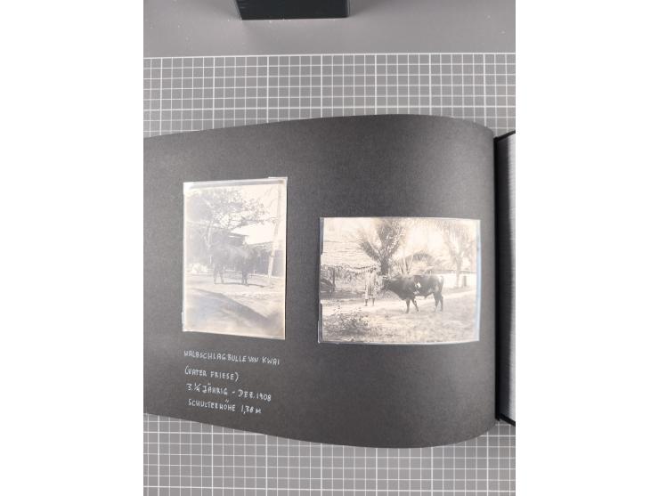 1887/1920, drei Fotoalben der Kaufmann-Familie Paul Devers aus DOA mit etlichen Original-Fotos und vielen Kopien, dabei u.a. 