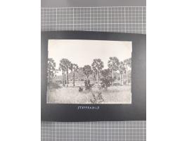 1887/1920, drei Fotoalben der Kaufmann-Familie Paul Devers aus DOA mit etlichen Original-Fotos und vielen Kopien, dabei u.a. 