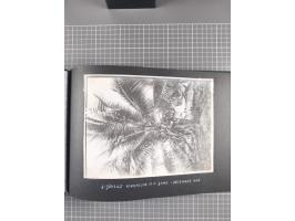 1887/1920, drei Fotoalben der Kaufmann-Familie Paul Devers aus DOA mit etlichen Original-Fotos und vielen Kopien, dabei u.a. 