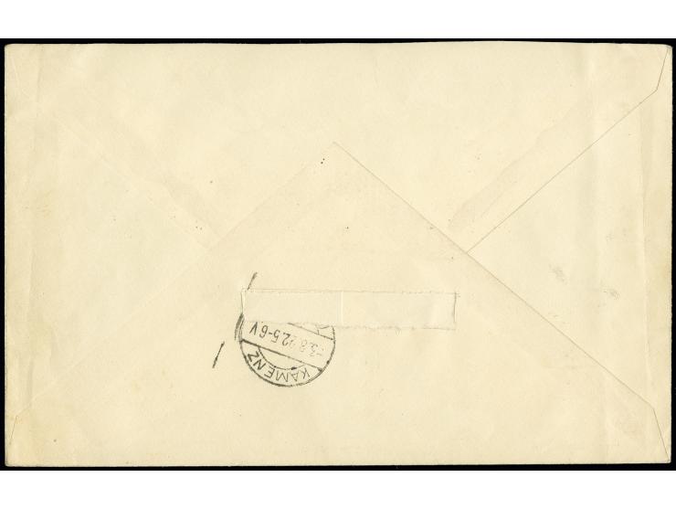 2,50 M. auf 2 M. rosakarmin im waagerechten Paar aus der linken unteren Bogenecke mit HAN "H 4421.19", Formnummer "1" und spi