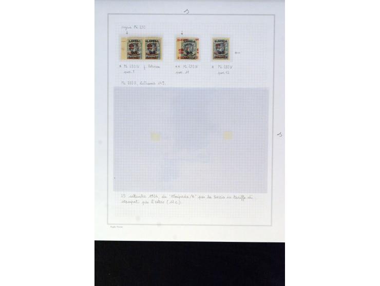 1923, Aufdruckausgabe Mi.-Nr. 230-233, interressante und stark spezialisierte ungebrauchte/postfriche und gestempelte Sammlun