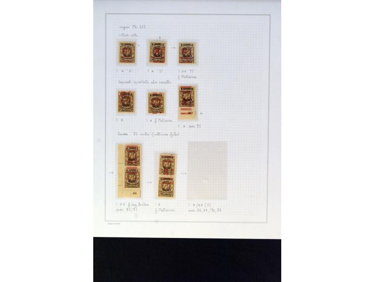 1923, Aufdruckausgabe Mi.-Nr. 230-233, interressante und stark spezialisierte ungebrauchte/postfriche und gestempelte Sammlun