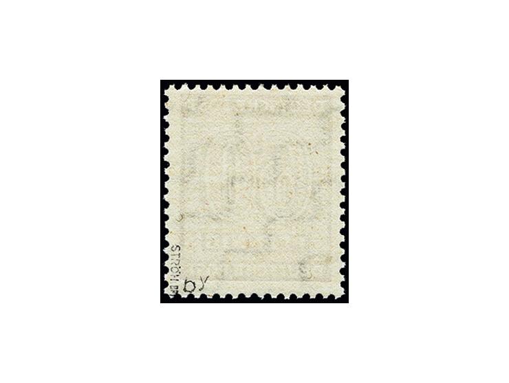 60 Pfg. karminbraun mit Wasserzeichen 1 Y, postfrisch, tadellos, sign. Ströh BPP (Mi. 500,-)