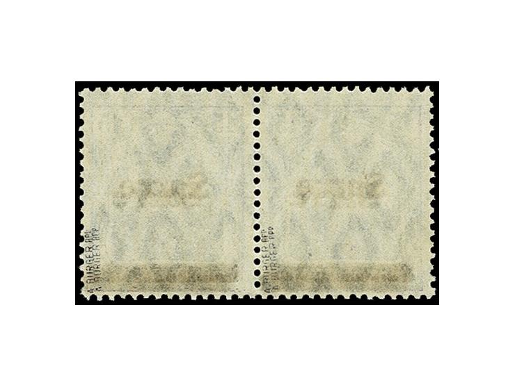 15 Pfg. schwärzlichgrauviolett im waagerechten Paar, die linke Marke mit Aufdruckfehler "Balken senkrecht gebrochen und Kopf 