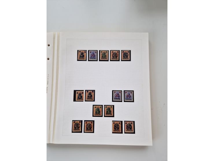 1920/39, sehr interessante und inhaltsreiche ungebrauchte/postfrische und gestempelte Sammlung, beginnend mit reichhaltigem T