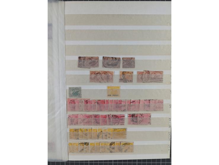 1860/1900 (ca.), used and mint balance of apprx. 800 stamps (apprx. 320 South Australia, apprx. 190 Tasmania, apprx. 290 West