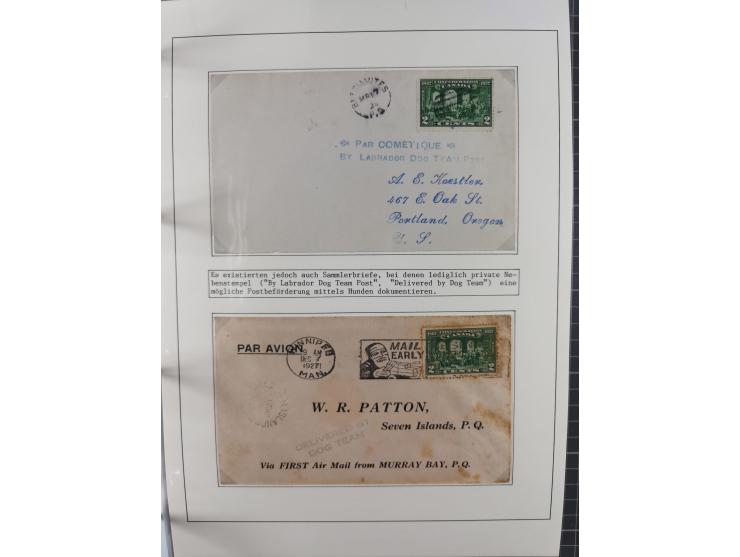 HUNDE: 1894/1992 (ca.), interessante Ausstellungssammlung “Schlittenhunde im Einsatz”, mit vielen Marken, FDCs, Schmuckbriefe