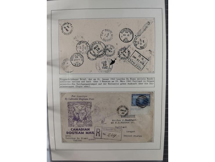 HUNDE: 1894/1992 (ca.), interessante Ausstellungssammlung “Schlittenhunde im Einsatz”, mit vielen Marken, FDCs, Schmuckbriefe