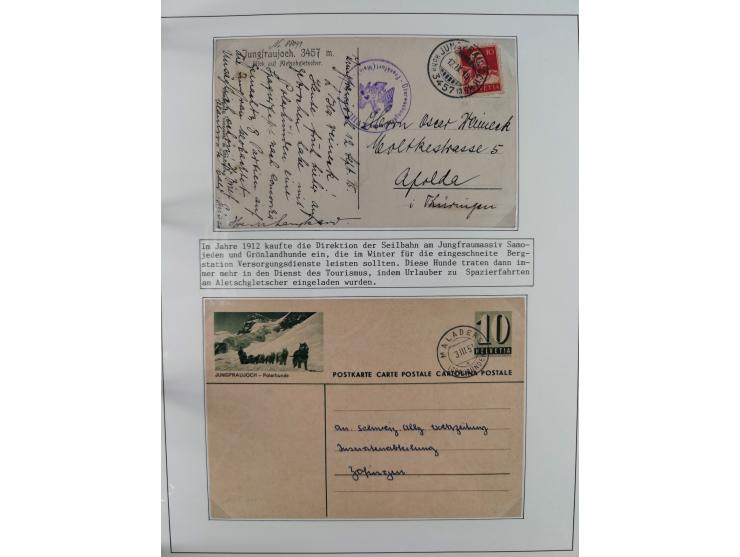 HUNDE: 1894/1992 (ca.), interessante Ausstellungssammlung “Schlittenhunde im Einsatz”, mit vielen Marken, FDCs, Schmuckbriefe