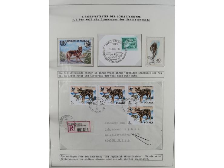 HUNDE: 1894/1992 (ca.), interessante Ausstellungssammlung “Schlittenhunde im Einsatz”, mit vielen Marken, FDCs, Schmuckbriefe