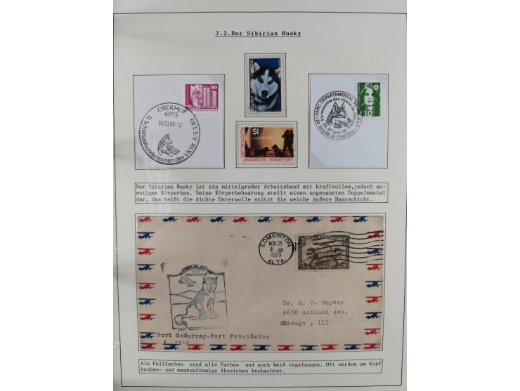 HUNDE: 1894/1992 (ca.), interessante Ausstellungssammlung “Schlittenhunde im Einsatz”, mit vielen Marken, FDCs, Schmuckbriefe