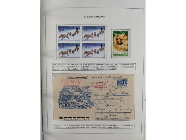 HUNDE: 1894/1992 (ca.), interessante Ausstellungssammlung “Schlittenhunde im Einsatz”, mit vielen Marken, FDCs, Schmuckbriefe