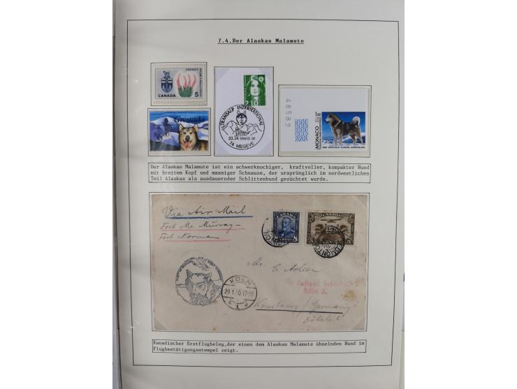HUNDE: 1894/1992 (ca.), interessante Ausstellungssammlung “Schlittenhunde im Einsatz”, mit vielen Marken, FDCs, Schmuckbriefe