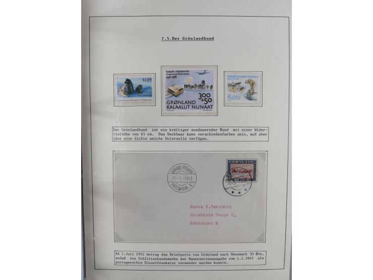 HUNDE: 1894/1992 (ca.), interessante Ausstellungssammlung “Schlittenhunde im Einsatz”, mit vielen Marken, FDCs, Schmuckbriefe