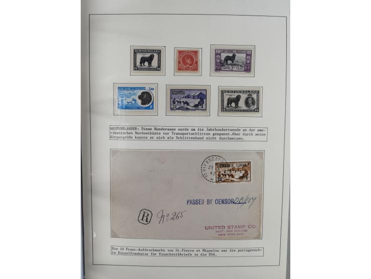 HUNDE: 1894/1992 (ca.), interessante Ausstellungssammlung “Schlittenhunde im Einsatz”, mit vielen Marken, FDCs, Schmuckbriefe