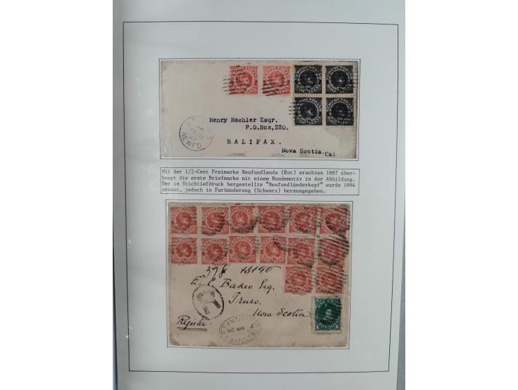 HUNDE: 1894/1992 (ca.), interessante Ausstellungssammlung “Schlittenhunde im Einsatz”, mit vielen Marken, FDCs, Schmuckbriefe