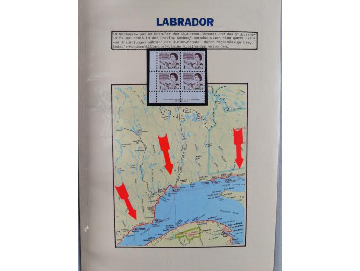 HUNDE: 1894/1992 (ca.), interessante Ausstellungssammlung “Schlittenhunde im Einsatz”, mit vielen Marken, FDCs, Schmuckbriefe