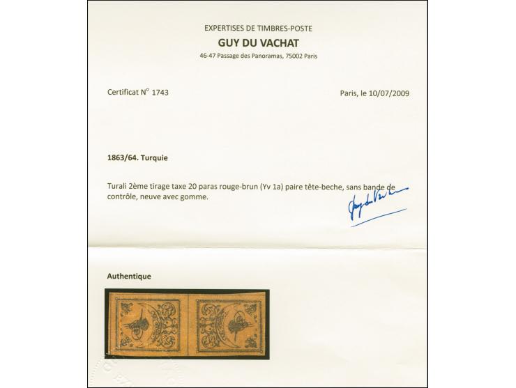 1863, 20 pa. light brown postage due tete-beche pair without blue border print, unused with original gum, full to wide margin