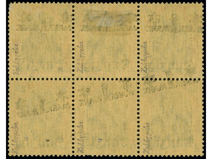 1920, Netzunterdruck mit Spitzen nach unten: 1M. auf 30 Pfg., Sechserblock mit gebrochenem Wertaufdruck-Klischee, der sogenan