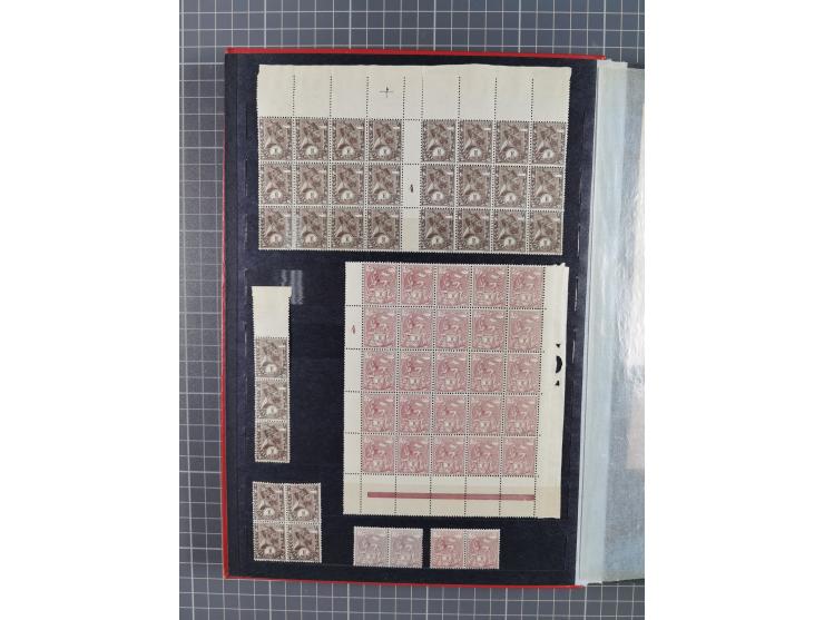 1894/1905, a mostly mint collection in a stockbook, a study of the Menelik II and Lion of Judah designs, including mint and u