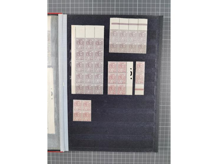 1894/1905, a mostly mint collection in a stockbook, a study of the Menelik II and Lion of Judah designs, including mint and u