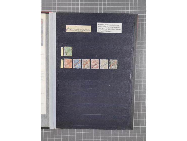 1894/1905, a mostly mint collection in a stockbook, a study of the Menelik II and Lion of Judah designs, including mint and u