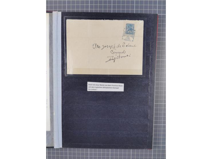 1894/1905, a mostly mint collection in a stockbook, a study of the Menelik II and Lion of Judah designs, including mint and u