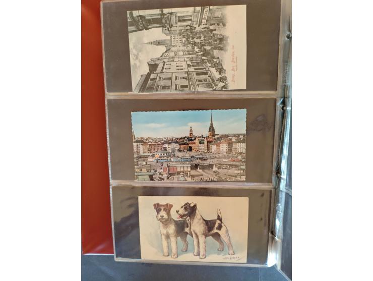 1890/1950(ca.), mostly older European postcards including a few litho's, totally ca. 300 ex. in 2 albums&nbsp;