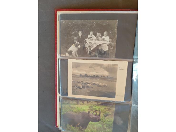 1890/1950(ca.), mostly older European postcards including a few litho's, totally ca. 300 ex. in 2 albums&nbsp;