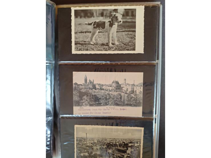 1900 onwards mostly European Countries (ca. 210 ex.) and Fantasy (ca. 240 ex.) in 2 albums&nbsp;