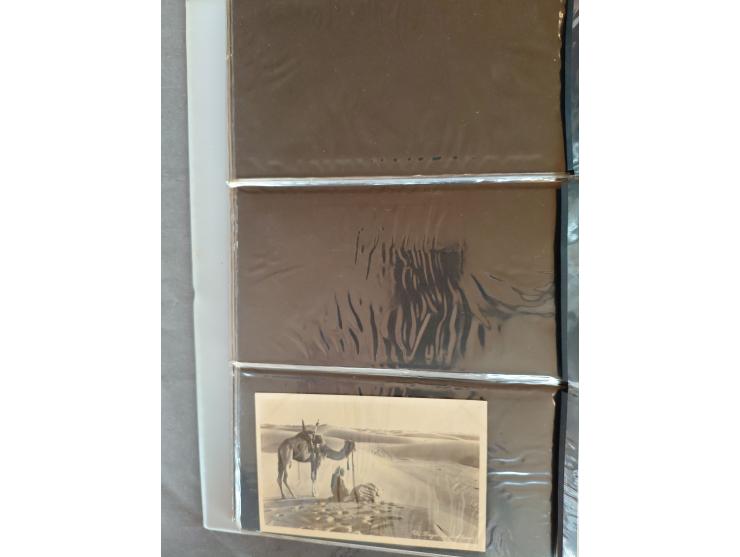 1900 onwards mostly European Countries (ca. 210 ex.) and Fantasy (ca. 240 ex.) in 2 albums&nbsp;