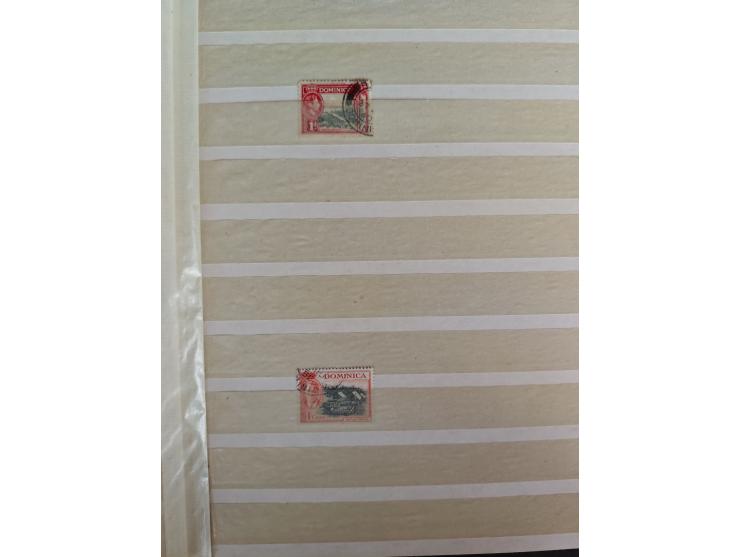 1860/1970, used and unused lot of mostly older material in 6 stockbooks