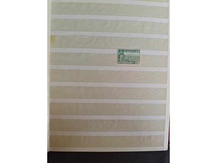 1860/1970, used and unused lot of mostly older material in 6 stockbooks