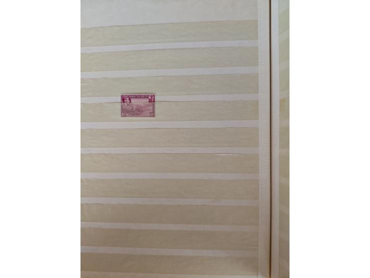 1860/1970, used and unused lot of mostly older material in 6 stockbooks