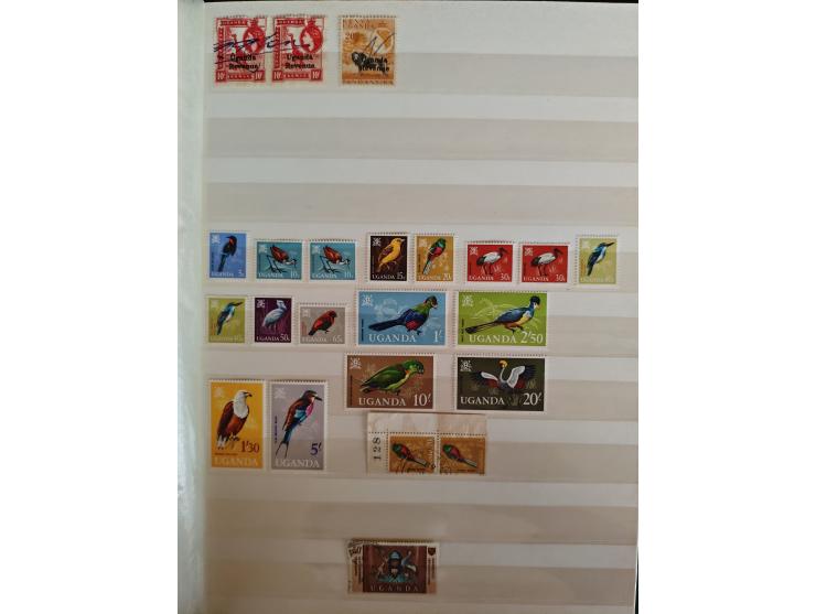 1860/1970, used and unused lot of mostly older material in 6 stockbooks