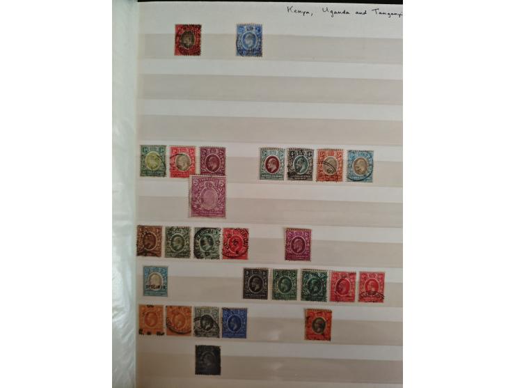 1860/1970, used and unused lot of mostly older material in 6 stockbooks