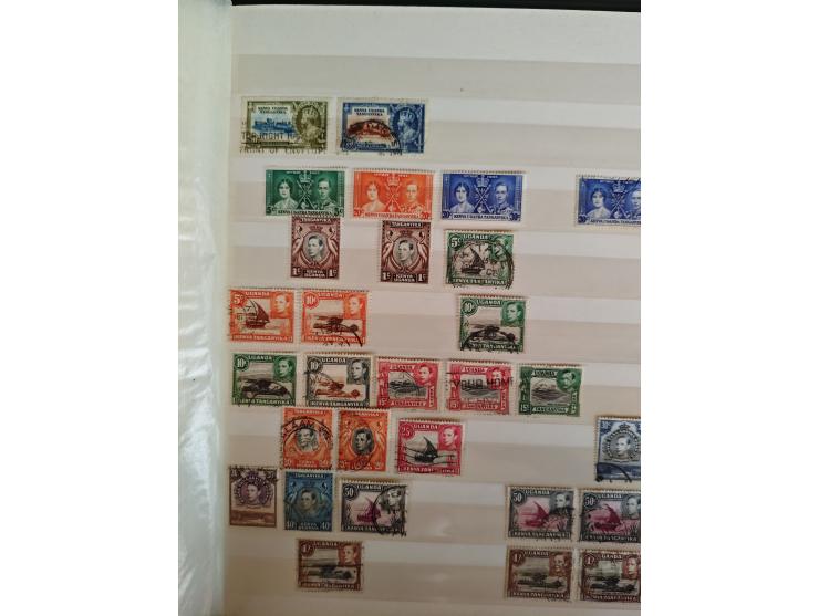 1860/1970, used and unused lot of mostly older material in 6 stockbooks