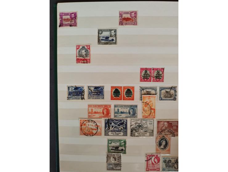 1860/1970, used and unused lot of mostly older material in 6 stockbooks