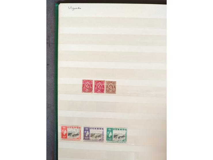 1860/1970, used and unused lot of mostly older material in 6 stockbooks