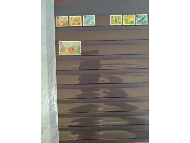 1860/1970, used and unused lot of mostly older material in 6 stockbooks