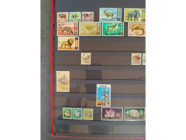 1860/1970, used and unused lot of mostly older material in 6 stockbooks