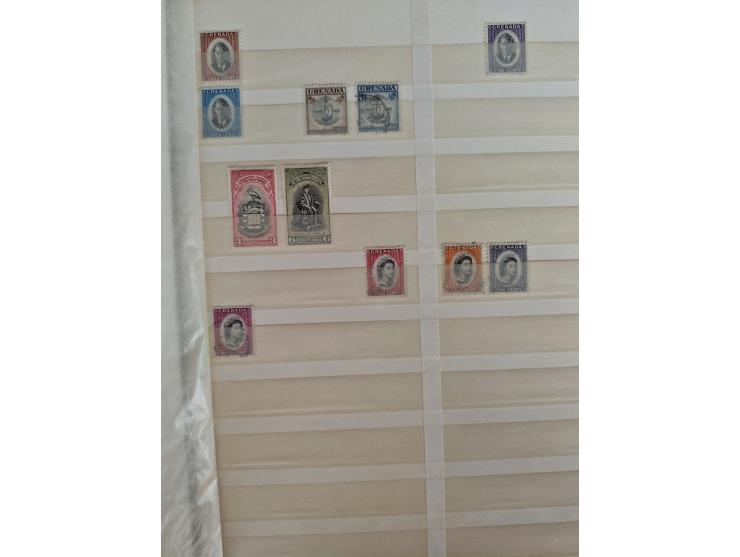 1860/1970, used and unused lot of mostly older material in 6 stockbooks