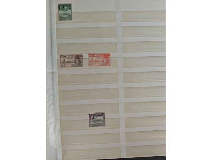 1860/1970, used and unused lot of mostly older material in 6 stockbooks