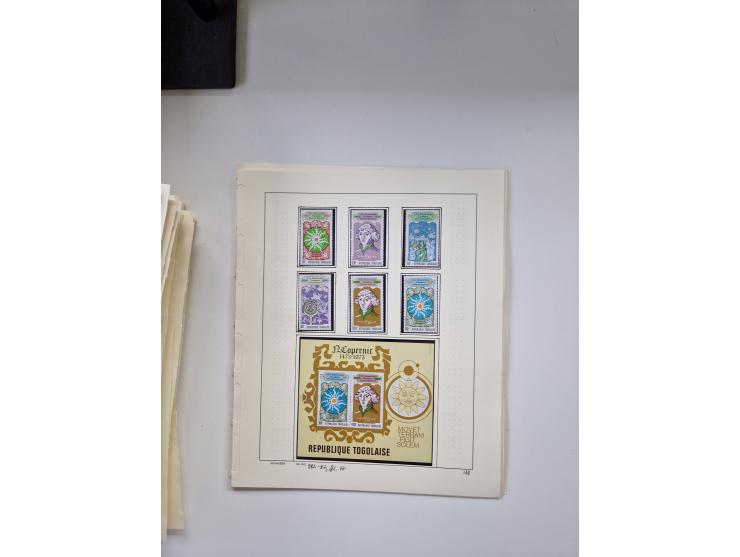 Eastern Europe: 1918/2021, extensive mint never hinged worldwide collection with many thematic stamps and souvenir sheets on 