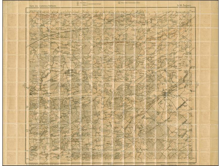 1919, Ear of corn 10 kopek red, perforated, complete sheet on map M16 Zagony, mint never hinged, some perf separations, other