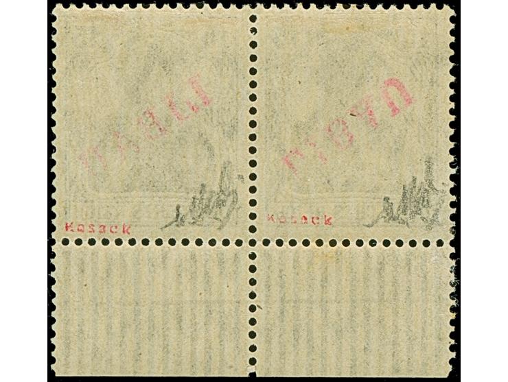 1919, Aufdrucktype II, roter Aufdruck: Germania 15 Pfennig schwarzviolett, waagerechtes Unterrand-Kehrdruckpaar, dabei die li
