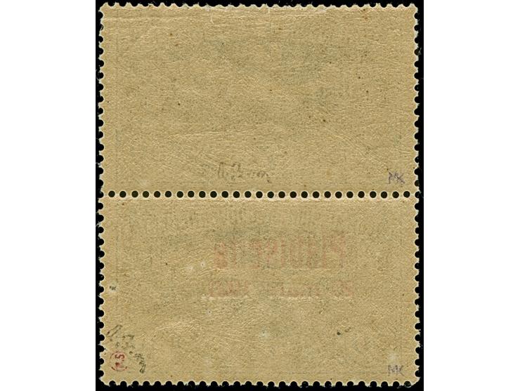 1921, Plebiscite 50 Pfennig grau, senkrechtes Paar, dabei die obere Marke ohne Aufdruck, farbfrisch und gut gezähnt, postfris