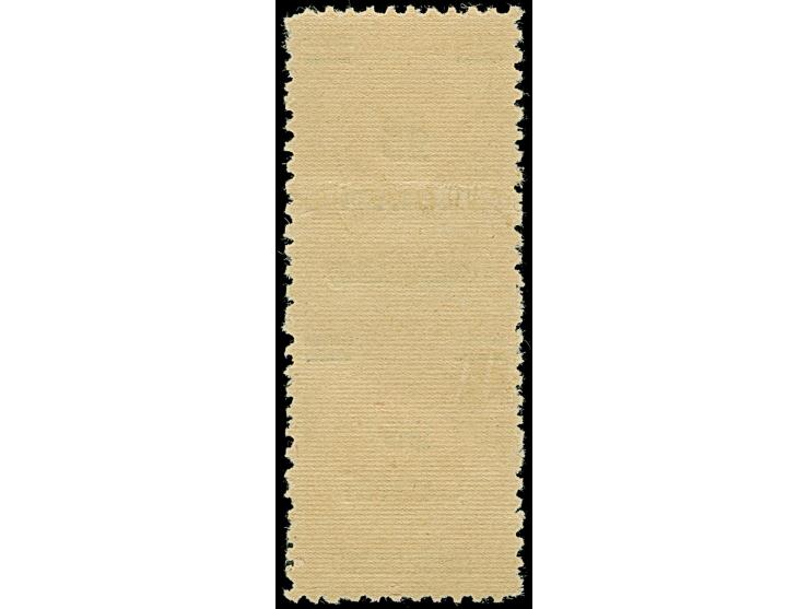 1923, 24-Werte 25 Centu auf 25 Markiu, senkrechtes Paar, mittig ungezähnt, die obere Marke mit Plattenfehler „diagonaler Bruc
