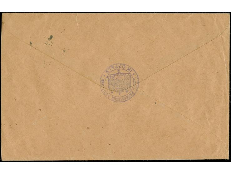 1920, CGHS 30 Pfennig, senkrechtes Paar, sauber mit Stempel “OPPELN 13.10.20” auf großformatigem Dienstbrief der Regierung mi